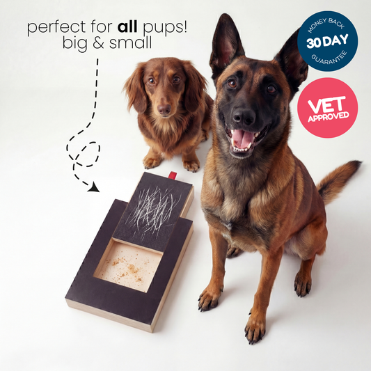 Dog Nail Scratch Board Nail Trim Pad Pull-Out Wooden Pet Scratching Board Toy Built-In Treat Box Dog Sandpaper Board Scratcher